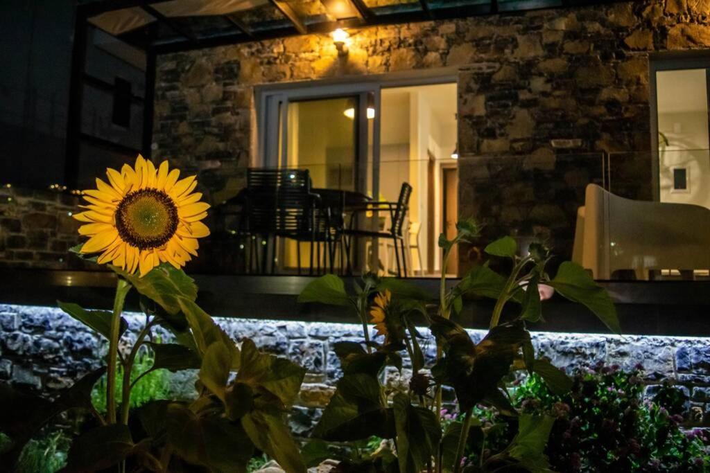 Istron Avra Apartment Kalo Chorio  Екстериор снимка